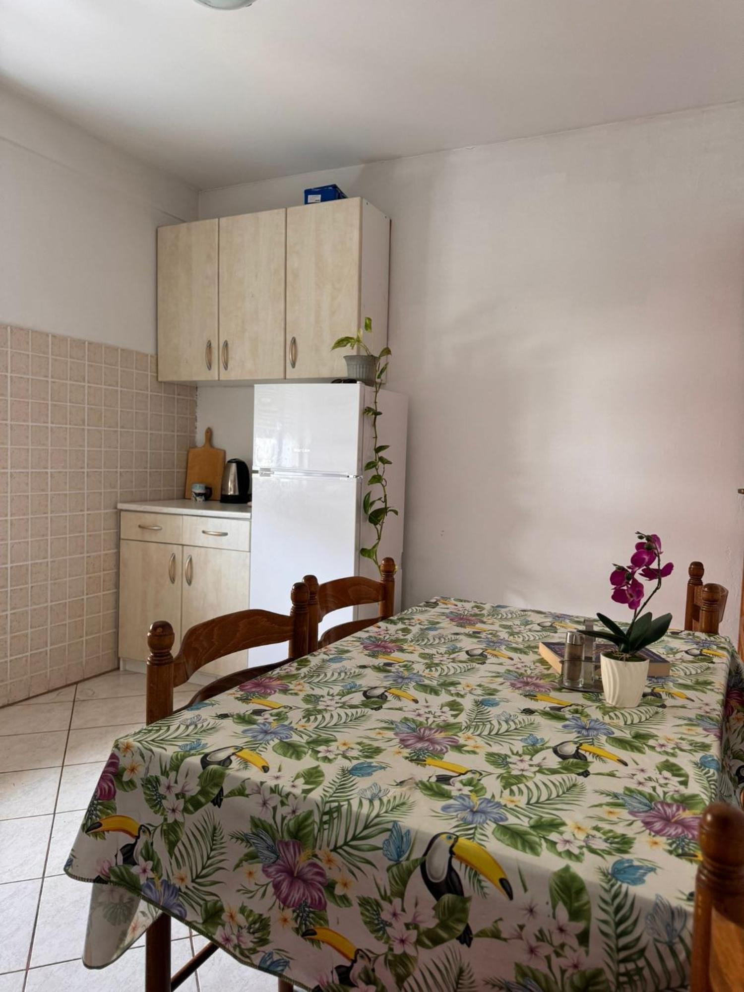 Apartment Olga